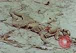Standbild tote japanische Soldaten Eniwetok Atoll Marshall Inseln, 1944, aus Sekunde 33 historischem Filmmaterial Videoclip 65675041028