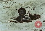 Standbild tote japanische Soldaten Eniwetok Atoll Marshall Inseln, 1944, aus Sekunde 38 historischem Filmmaterial Videoclip 65675041028