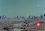Standbild tote japanische Soldaten Eniwetok Atoll Marshall Inseln, 1944, aus Sekunde 50 historischem Filmmaterial Videoclip 65675041028