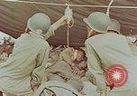 Standbild Enewetak Schlacht toten japanischen Soldaten Eniwetok Atoll Marshall Inseln, 1944, aus Sekunde 31 historischem Filmmaterial Videoclip 65675041029