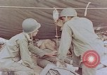 Standbild Enewetak Schlacht toten japanischen Soldaten Eniwetok Atoll Marshall Inseln, 1944, aus Sekunde 43 historischem Filmmaterial Videoclip 65675041029