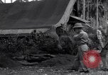 Image of Flight Operations Guadalcanal Solomon Islands, 1943, second 1 stock footage video 65675041032
