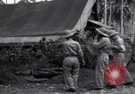 Image of Flight Operations Guadalcanal Solomon Islands, 1943, second 3 stock footage video 65675041032