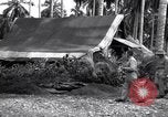 Image of Flight Operations Guadalcanal Solomon Islands, 1943, second 9 stock footage video 65675041032
