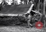Image of Flight Operations Guadalcanal Solomon Islands, 1943, second 10 stock footage video 65675041032