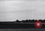 Image of TBF Avengers Guadalcanal Solomon Islands, 1943, second 53 stock footage video 65675041034