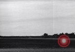 Image of TBF Avengers Guadalcanal Solomon Islands, 1943, second 58 stock footage video 65675041034