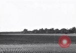 Image of TBF Avengers Guadalcanal Solomon Islands, 1943, second 60 stock footage video 65675041034