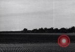 Image of TBF Avengers Guadalcanal Solomon Islands, 1943, second 61 stock footage video 65675041034