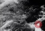 Image of Japanese fleet Pearl Harbor Hawaii USA, 1941, second 38 stock footage video 65675041049