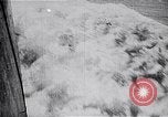Image of Japanese fleet Pearl Harbor Hawaii USA, 1941, second 46 stock footage video 65675041049