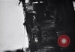 Image of Japanese footage about attack on Pearl Harbor Pearl Harbor Hawaii USA, 1941, second 39 stock footage video 65675041050
