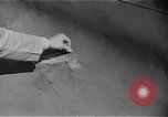 Image avions japonais Anacostia Washington DC USA, 1942, de la seconde 17 séquences d'archives historiques vidéo 65675041078
