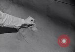 Image avions japonais Anacostia Washington DC USA, 1942, de la seconde 18 séquences d'archives historiques vidéo 65675041078