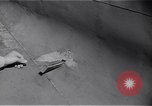 Image avions japonais Anacostia Washington DC USA, 1942, de la seconde 24 séquences d'archives historiques vidéo 65675041078