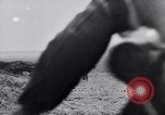 Image of German troops battle Soviets Crimea Ukraine, 1942, second 50 stock footage video 65675041080