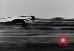 Immagine di German Air Force Francia, 1944, secondo 23 filmato di repertorio 65675041082