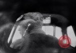 Immagine di Mitsubishi B5M Teatro pacifico, 1941, secondo 19 filmato di repertorio 65675041083