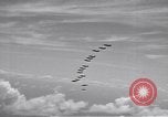 Standbild TBF Avenger Espiritu Santo Vanuatu, 1943, aus Sekunde 3 historischem Filmmaterial Videoclip 65675041085