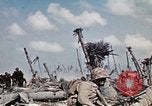 Image of Marines eliminate last Japanese defenders on Eniwetok Eniwetok Atoll Marshall Islands, 1944, second 42 stock footage video 65675041091