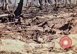 Image of Marines eliminate last Japanese defenders on Eniwetok Eniwetok Atoll Marshall Islands, 1944, second 62 stock footage video 65675041091