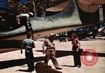Standbild Bob Hope Bonriki Island Pacific Theater, 1944, aus Sekunde 32 historischem Filmmaterial Videoclip 65675041126