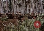 Standbild Schlacht von Munda Rendova Strand Salomonen, 1943, aus Sekunde 56 historischem Filmmaterial Videoclip 65675041127
