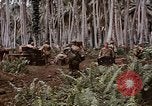 Standbild Schlacht von Munda Rendova Strand Salomonen, 1943, aus Sekunde 57 historischem Filmmaterial Videoclip 65675041127