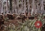 Standbild Schlacht von Munda Rendova Strand Salomonen, 1943, aus Sekunde 58 historischem Filmmaterial Videoclip 65675041127