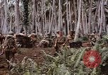 Standbild Schlacht von Munda Rendova Strand Salomonen, 1943, aus Sekunde 59 historischem Filmmaterial Videoclip 65675041127