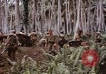 Standbild Schlacht von Munda Rendova Strand Salomonen, 1943, aus Sekunde 60 historischem Filmmaterial Videoclip 65675041127
