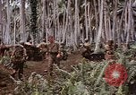 Standbild Schlacht von Munda Rendova Strand Salomonen, 1943, aus Sekunde 61 historischem Filmmaterial Videoclip 65675041127
