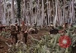 Standbild Schlacht von Munda Rendova Strand Salomonen, 1943, aus Sekunde 62 historischem Filmmaterial Videoclip 65675041127