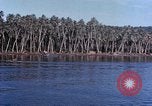 Image of Battle of Munda Rendova Beach Solomon Islands, 1943, second 11 stock footage video 65675041130