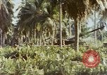 Image of Battle of Munda Rendova Beach Solomon Islands, 1943, second 59 stock footage video 65675041130