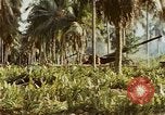 Image of Battle of Munda Rendova Beach Solomon Islands, 1943, second 60 stock footage video 65675041130