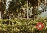 Image of Battle of Munda Rendova Beach Solomon Islands, 1943, second 61 stock footage video 65675041130