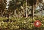 Image of Battle of Munda Rendova Beach Solomon Islands, 1943, second 62 stock footage video 65675041130