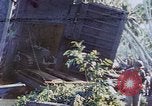 Image of Battle of Munda Rendova Beach Solomon Islands, 1943, second 1 stock footage video 65675041131