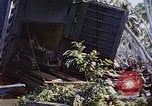 Image of Battle of Munda Rendova Beach Solomon Islands, 1943, second 3 stock footage video 65675041131