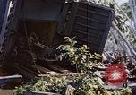 Image of Battle of Munda Rendova Beach Solomon Islands, 1943, second 5 stock footage video 65675041131