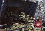 Image of Battle of Munda Rendova Beach Solomon Islands, 1943, second 6 stock footage video 65675041131
