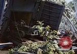 Image of Battle of Munda Rendova Beach Solomon Islands, 1943, second 8 stock footage video 65675041131