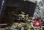 Image of Battle of Munda Rendova Beach Solomon Islands, 1943, second 9 stock footage video 65675041131