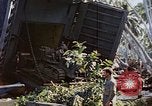 Image of Battle of Munda Rendova Beach Solomon Islands, 1943, second 11 stock footage video 65675041131