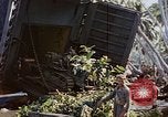 Image of Battle of Munda Rendova Beach Solomon Islands, 1943, second 12 stock footage video 65675041131