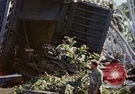 Image of Battle of Munda Rendova Beach Solomon Islands, 1943, second 14 stock footage video 65675041131