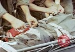 Image of Battle of Munda Rendova Beach Solomon Islands, 1943, second 44 stock footage video 65675041131