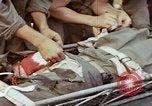 Image of Battle of Munda Rendova Beach Solomon Islands, 1943, second 46 stock footage video 65675041131