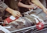 Image of Battle of Munda Rendova Beach Solomon Islands, 1943, second 52 stock footage video 65675041131